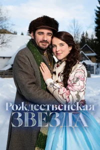  Рождественская звезда 